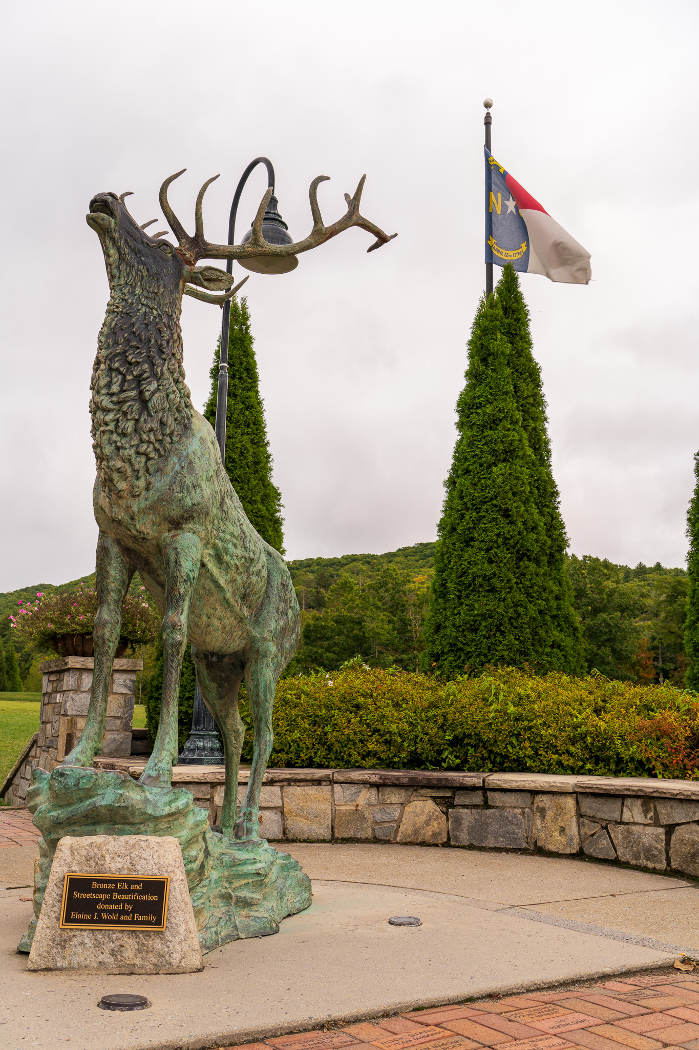 🦌 A Perfect Day in Banner Elk, NC